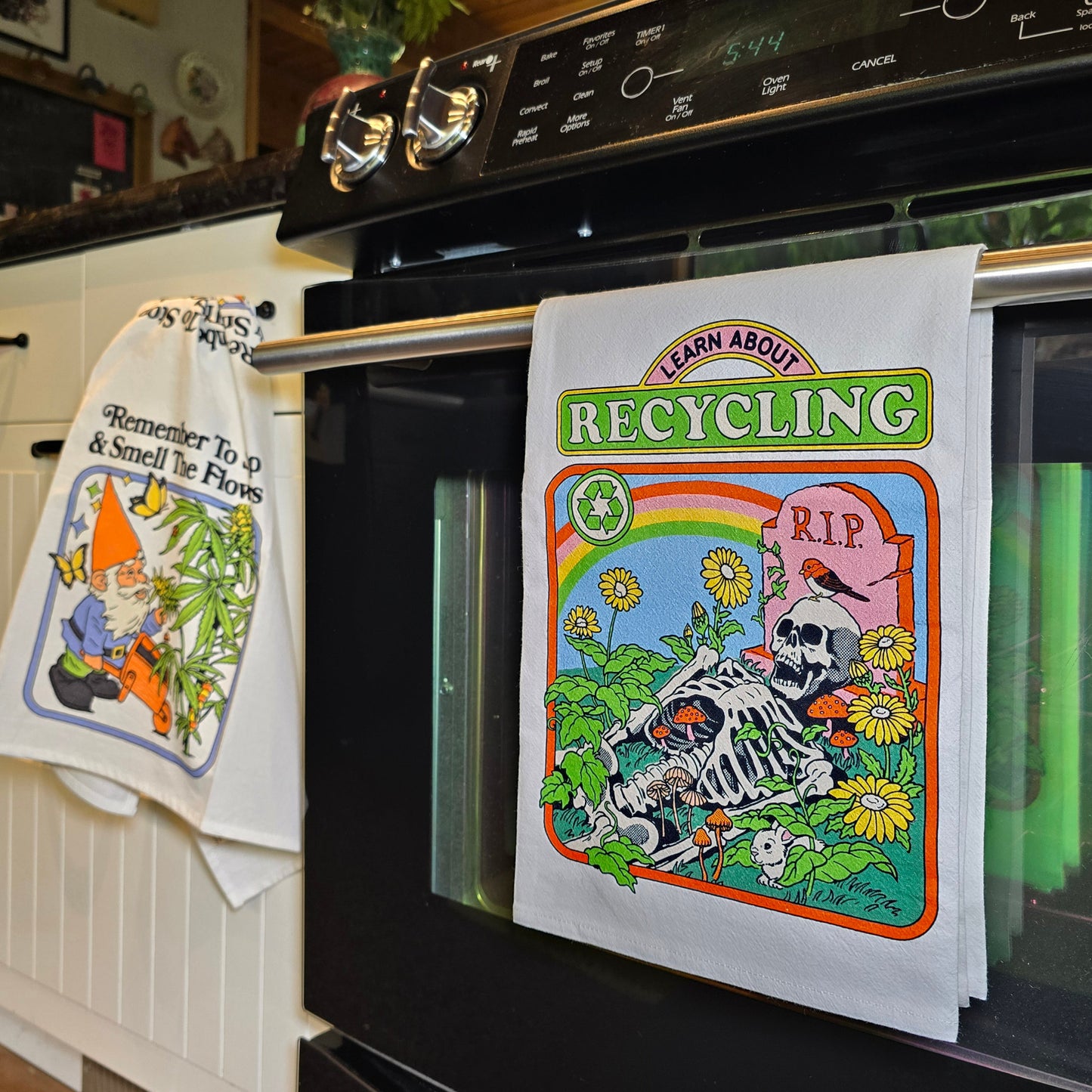 Learn About Recycling Sack Dish Towel